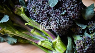 Redi-Broccoli-header